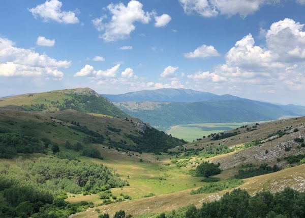 WhatsApp Image 2025-10-07 at 17.00.25 (1)