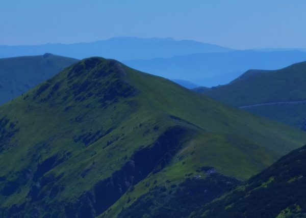 WhatsApp Image 2025-10-07 at 17.00.27 (1)