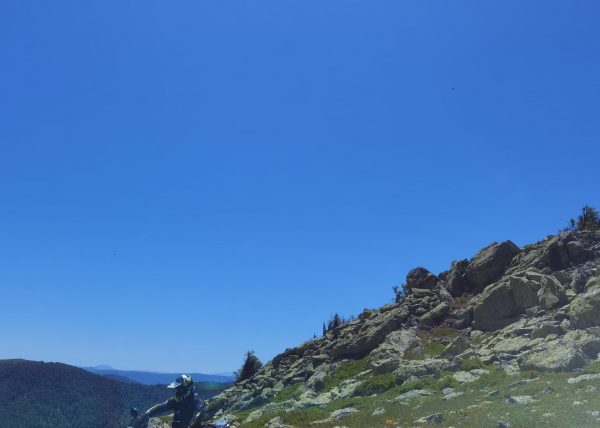 WhatsApp Image 2025-10-07 at 17.00.27